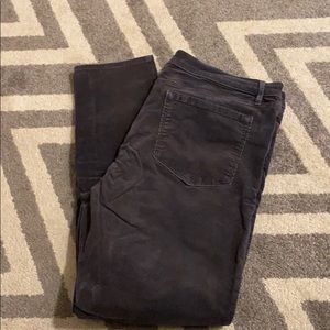 Anne loft corduroy gray pants . Size 16